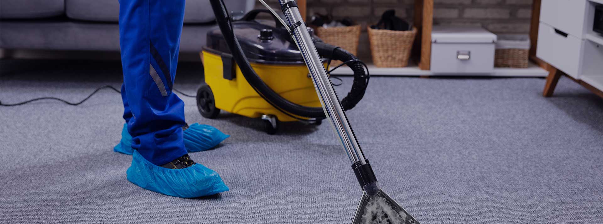 Professional carpet cleaning