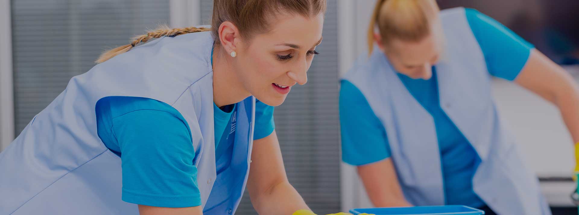 Cleaning professionals working